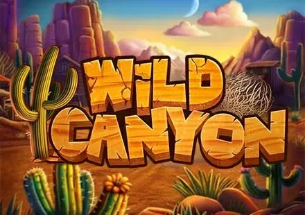 Wild Canyon screenshot